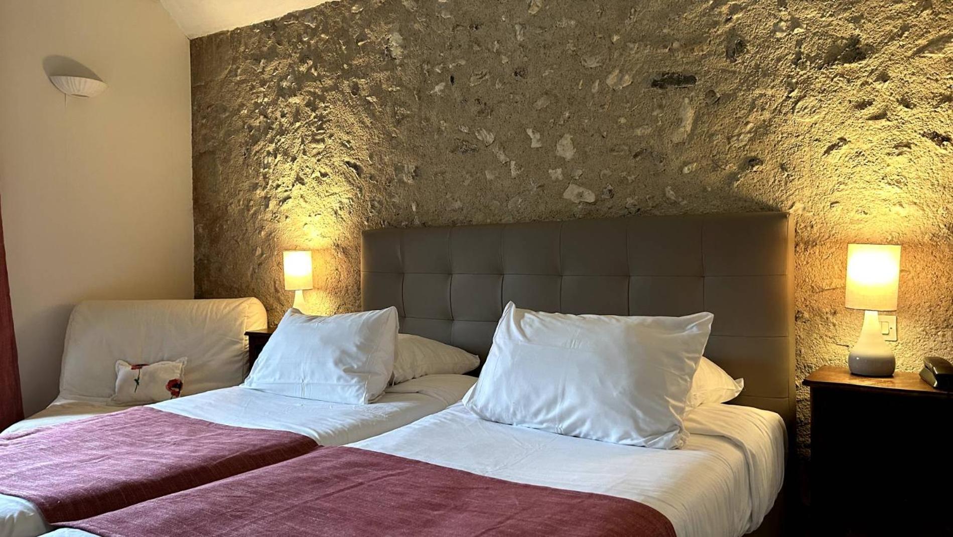 Logis Auberge Le Colombien - Hotel Et Restaurant Villandry Luaran gambar